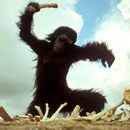 0 duNpuF3jpS Ag9SF jpg webp